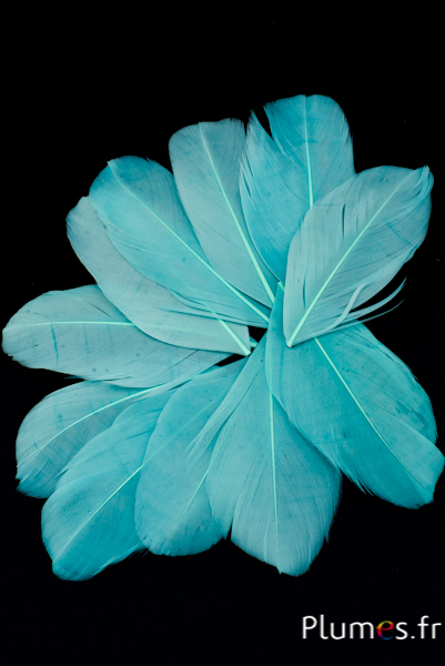 Petali in piume - 6-8 cm x 3-4 cm - ghiaccio